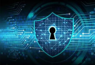 大數(shù)據(jù)時(shí)代的隱私保護(hù) 不容忽視的技術(shù)挑戰(zhàn)與個(gè)人責(zé)任